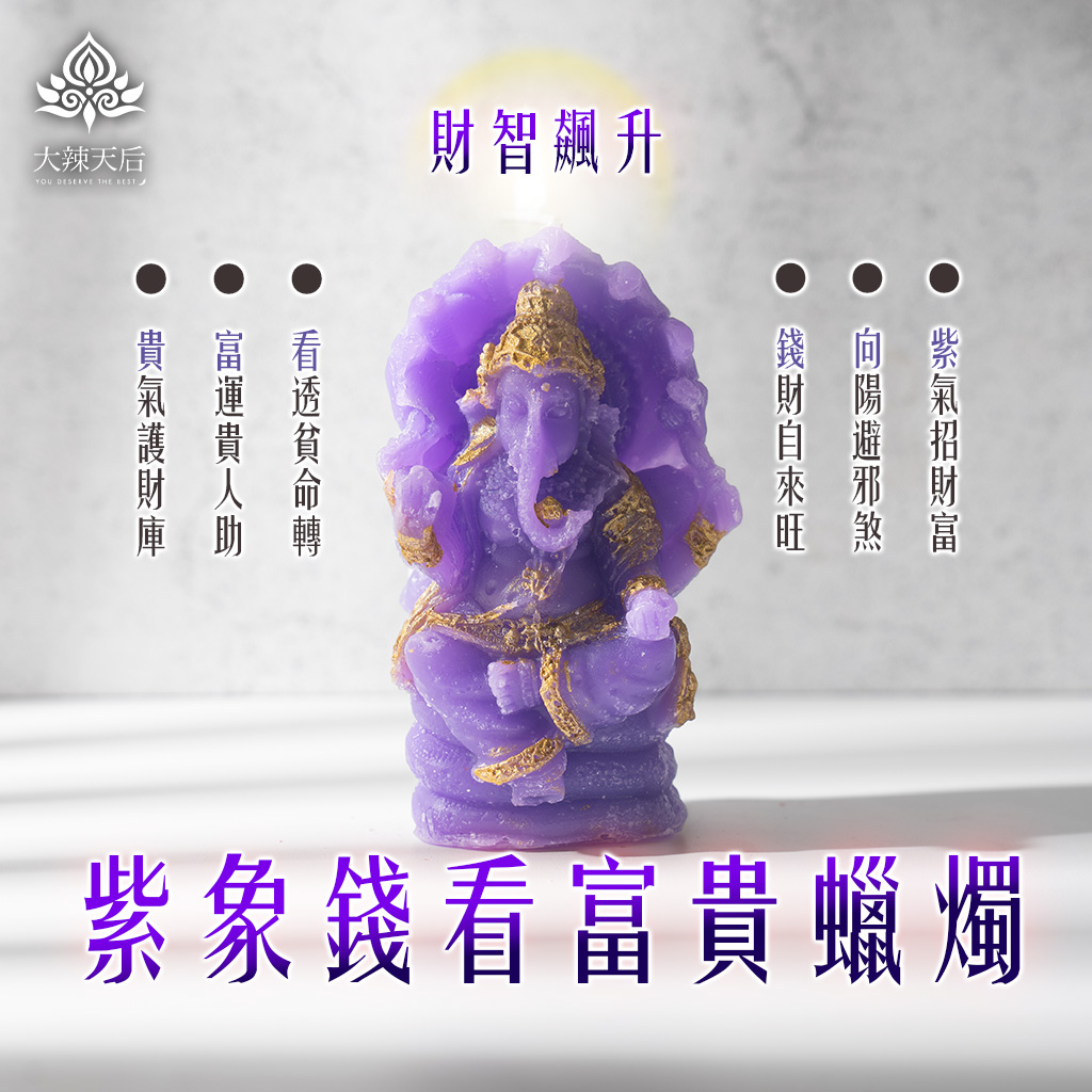 大辣天后宮-紫象錢看富貴象神蠟燭（財智飆升）