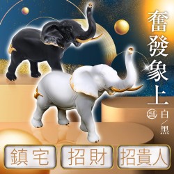 開運NOW-奮發象上-黑-白2款