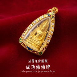 開運NOW-【龍婆大師加持限定】成功佛佛牌_×_至尊九寶銅版