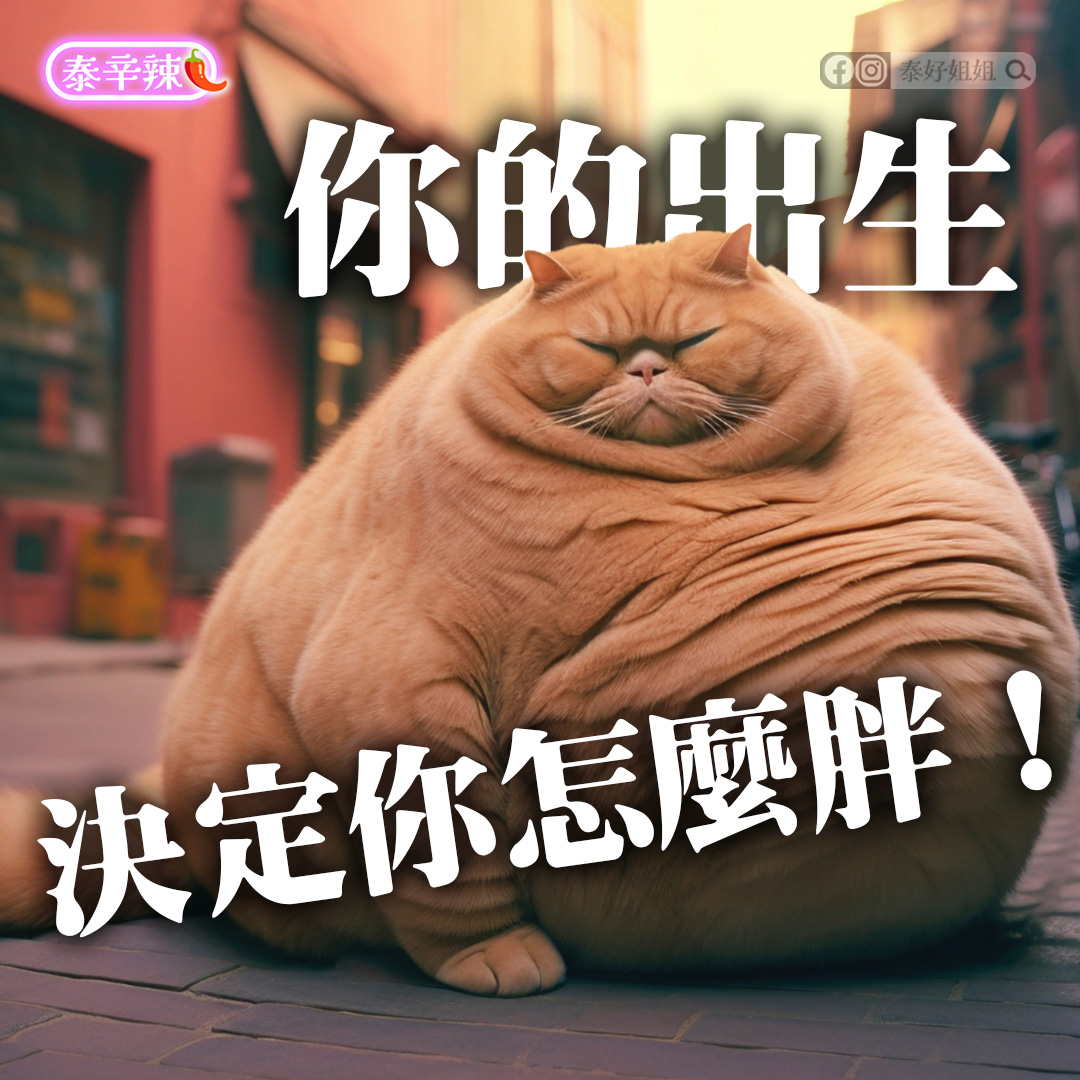 【泰辛辣】命格胖的真相揭密！從出生日看懂你為什麼總是SO不下來？