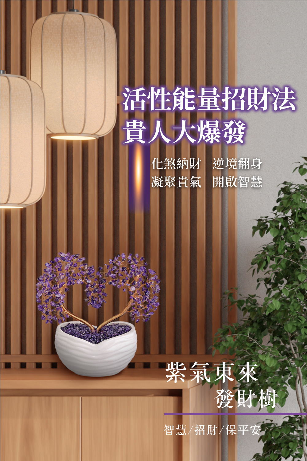開運NOW-紫氣東來發財樹 產品說明