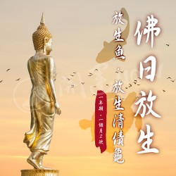 開運NOW-【訂閱制】佛日放生_-_放生魚__放生清債龜