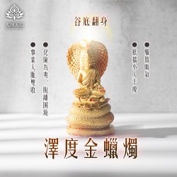 大辣天后宮-澤度金蠟燭（谷底翻身）