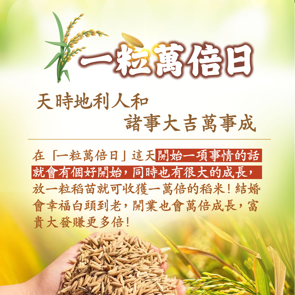 大辣天后宮-【一粒萬倍】至尊萬倍齊發套組_法會