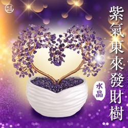 開運NOW-紫氣東來發財樹