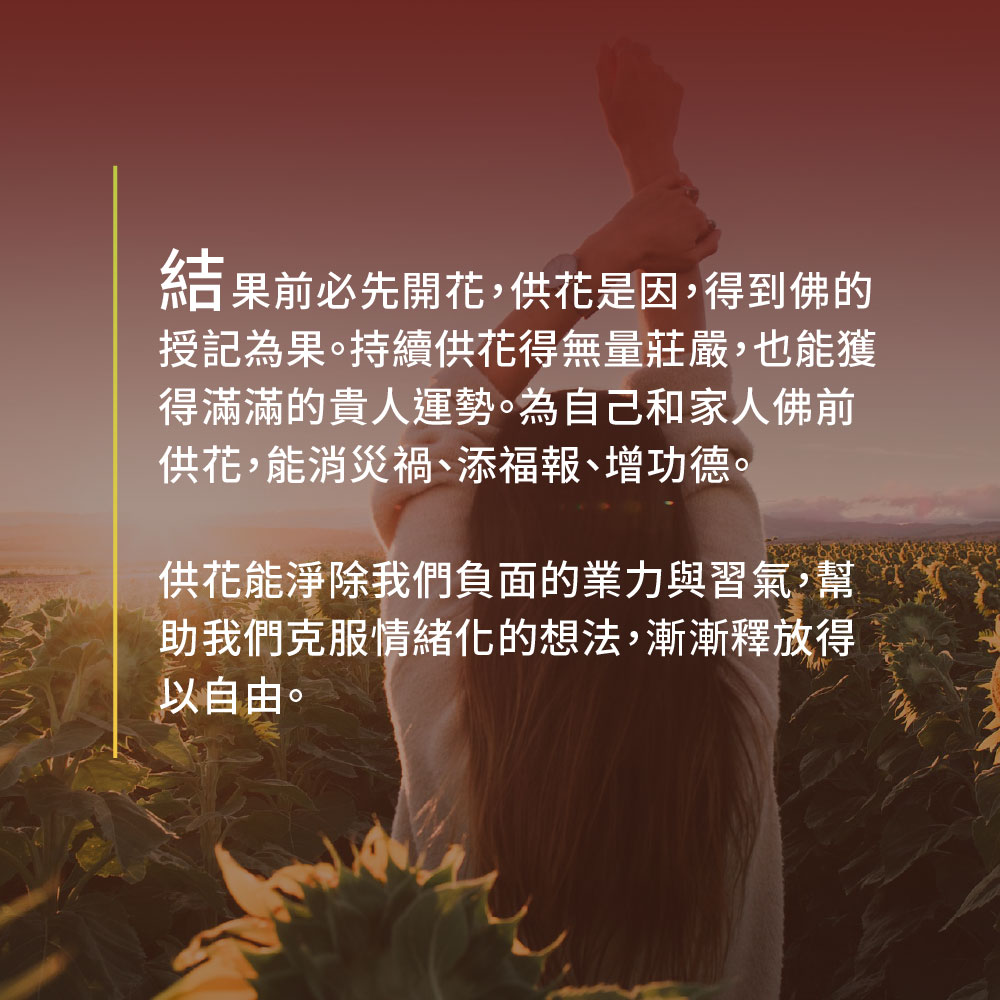 大辣天后宮-【佛均山】佛前供花_-一盤