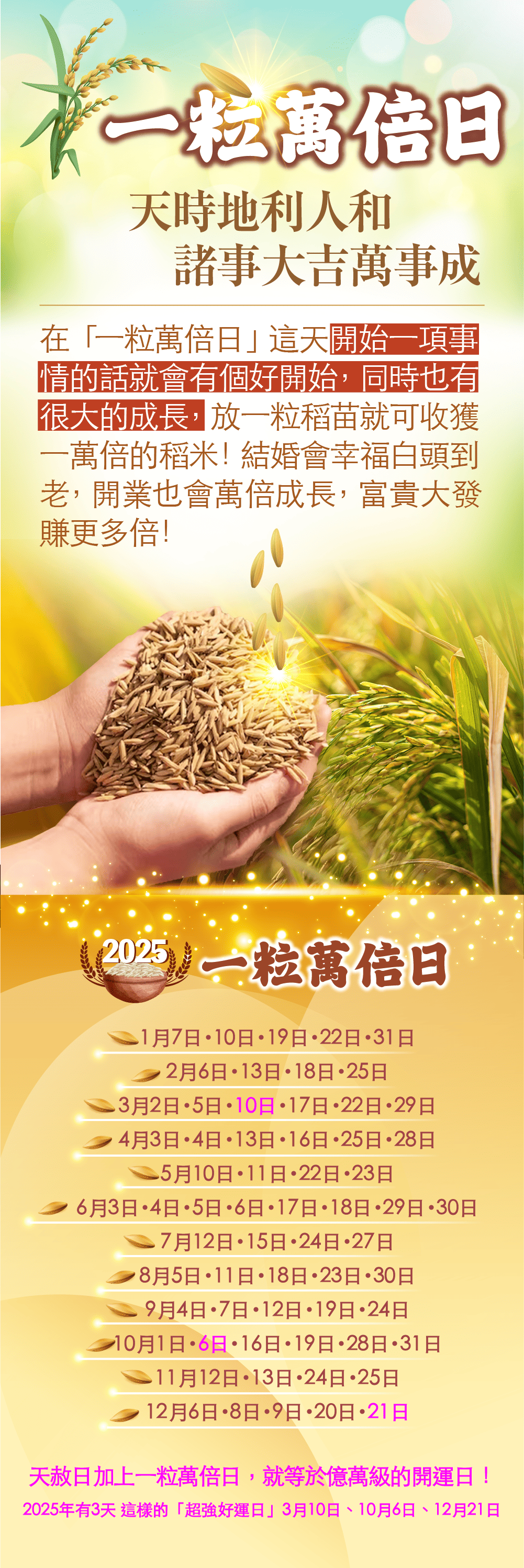 大辣天后宮-【一粒萬倍日．快速進財法】元寶香9顆(代燒) 產品說明