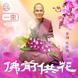 開運NOW-【塔拱寺】佛前供花-一束