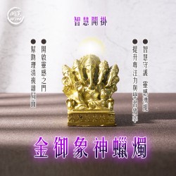 開運NOW-金御象神蠟燭▲智慧財富