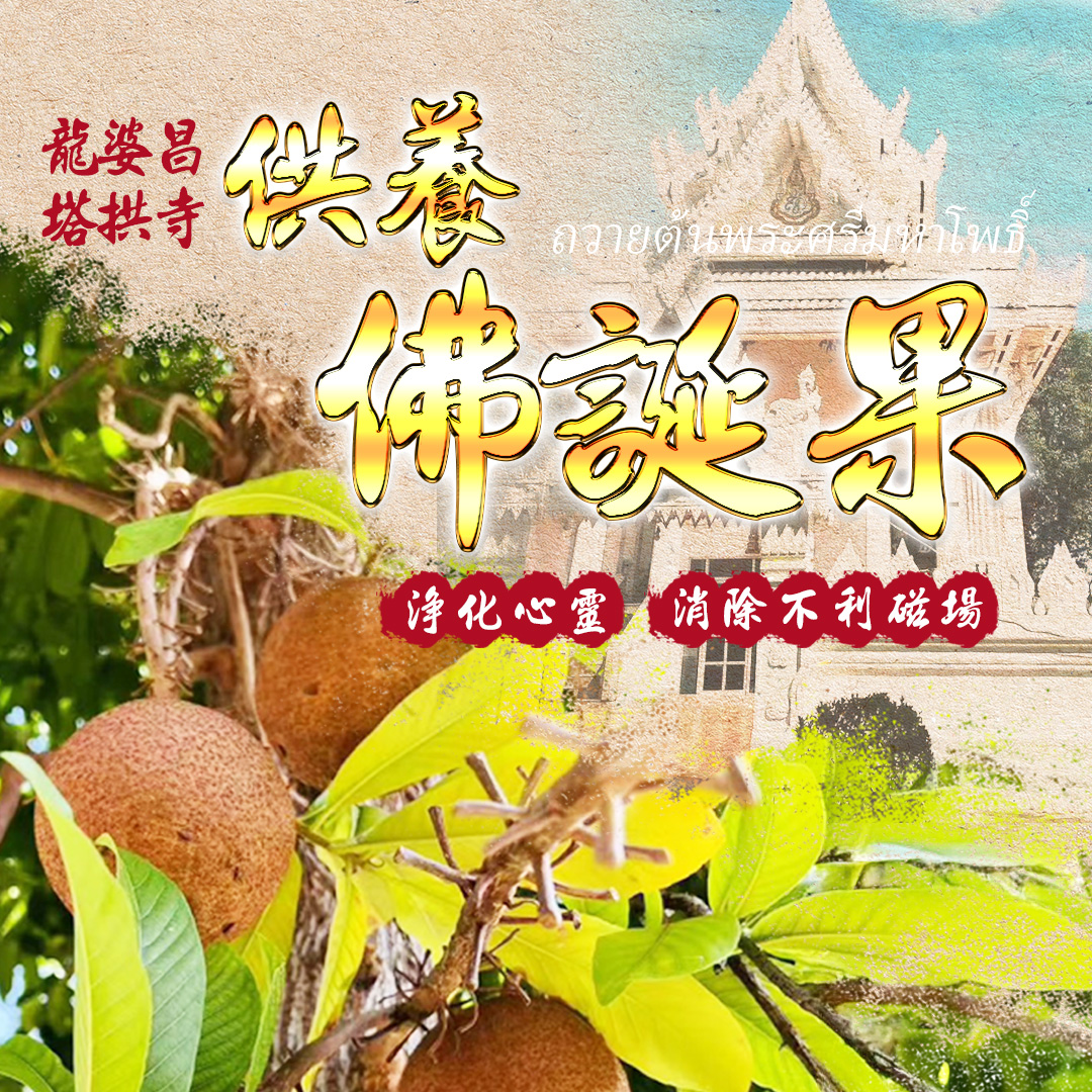 泰幸福-供養佛誕果 產品說明