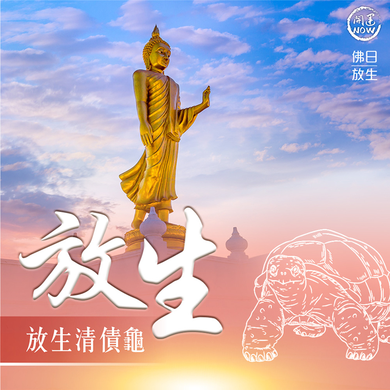 開運NOW-【星期五】泰流月・黃金帕嬰蠟燭_放生清債龜