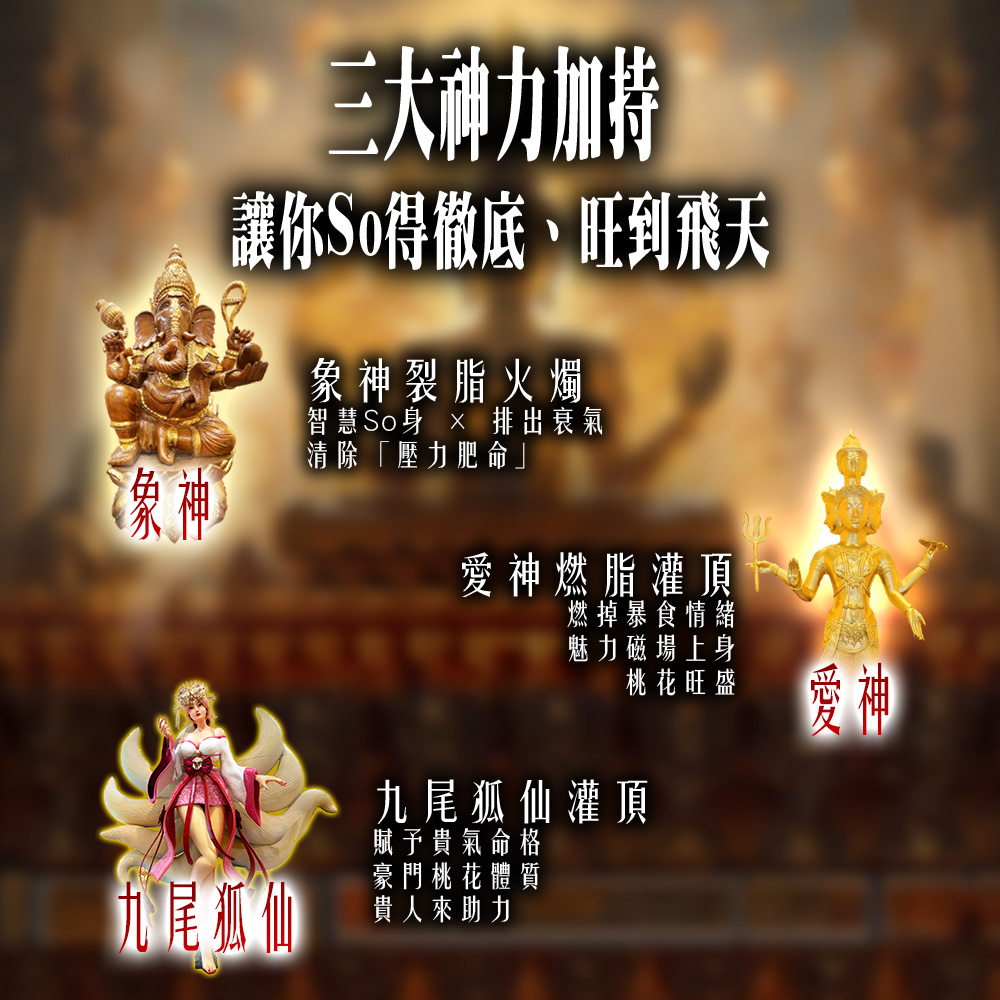 大辣天后宮-【全台唯一】纖女速成調理術