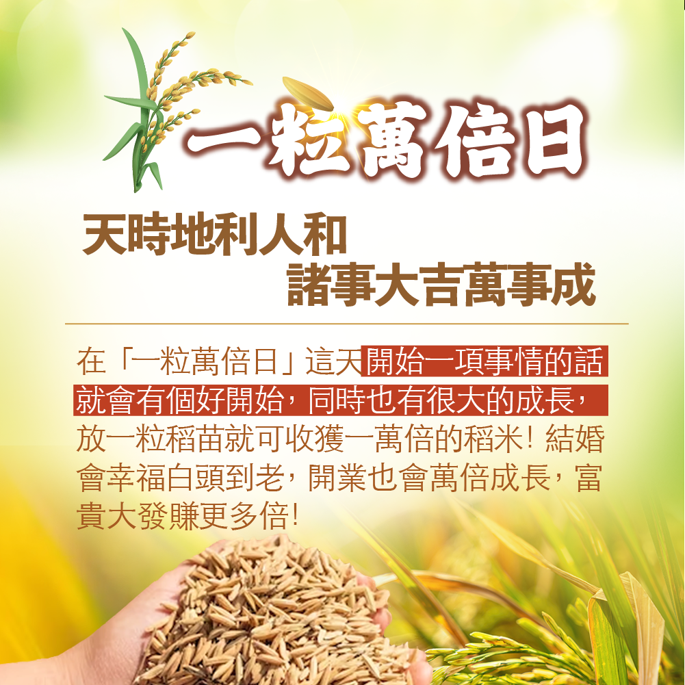 大辣天后宮-【一粒萬倍日.快速進財法】元寶香7顆-代燒