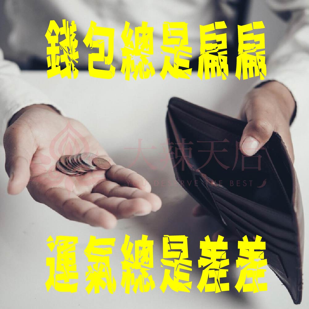 大辣天后宮-金耀水龍蠟燭(運勢飛天)