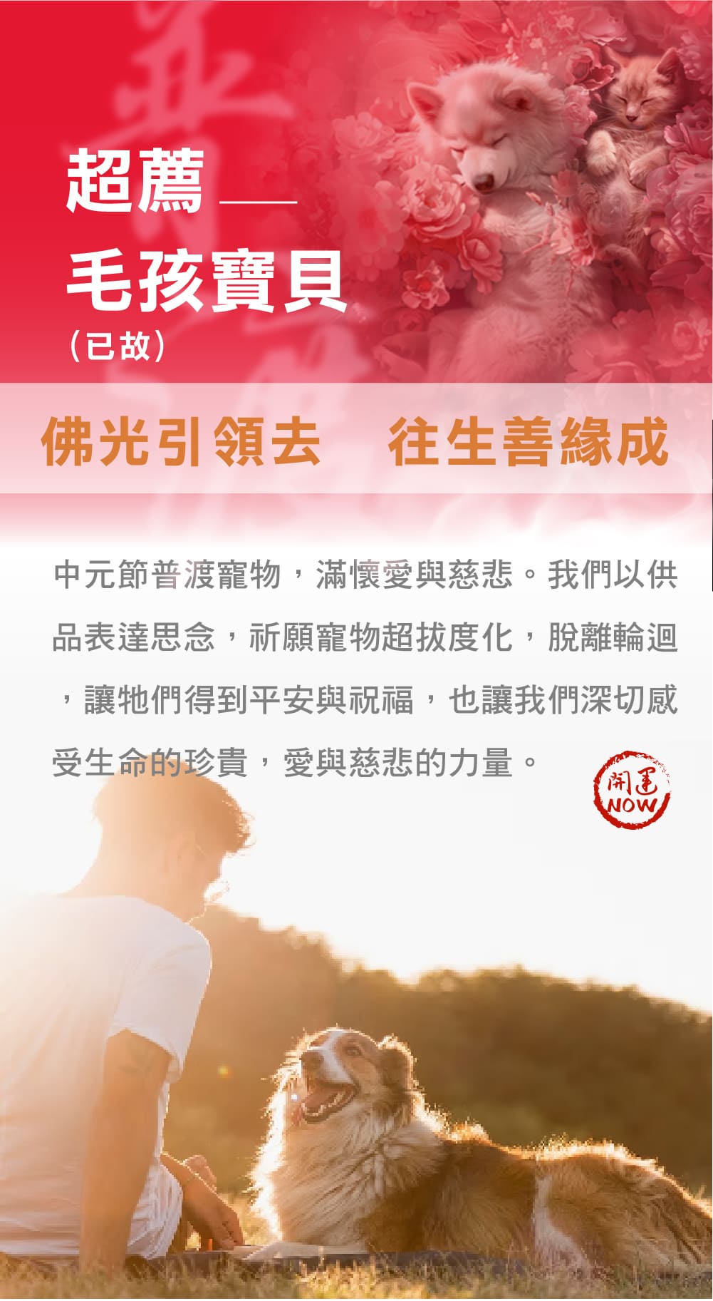 開運NOW-【毛孩寶貝】中元普渡祈福超拔法會 產品說明