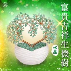開運NOW-富貴吉祥生機樹