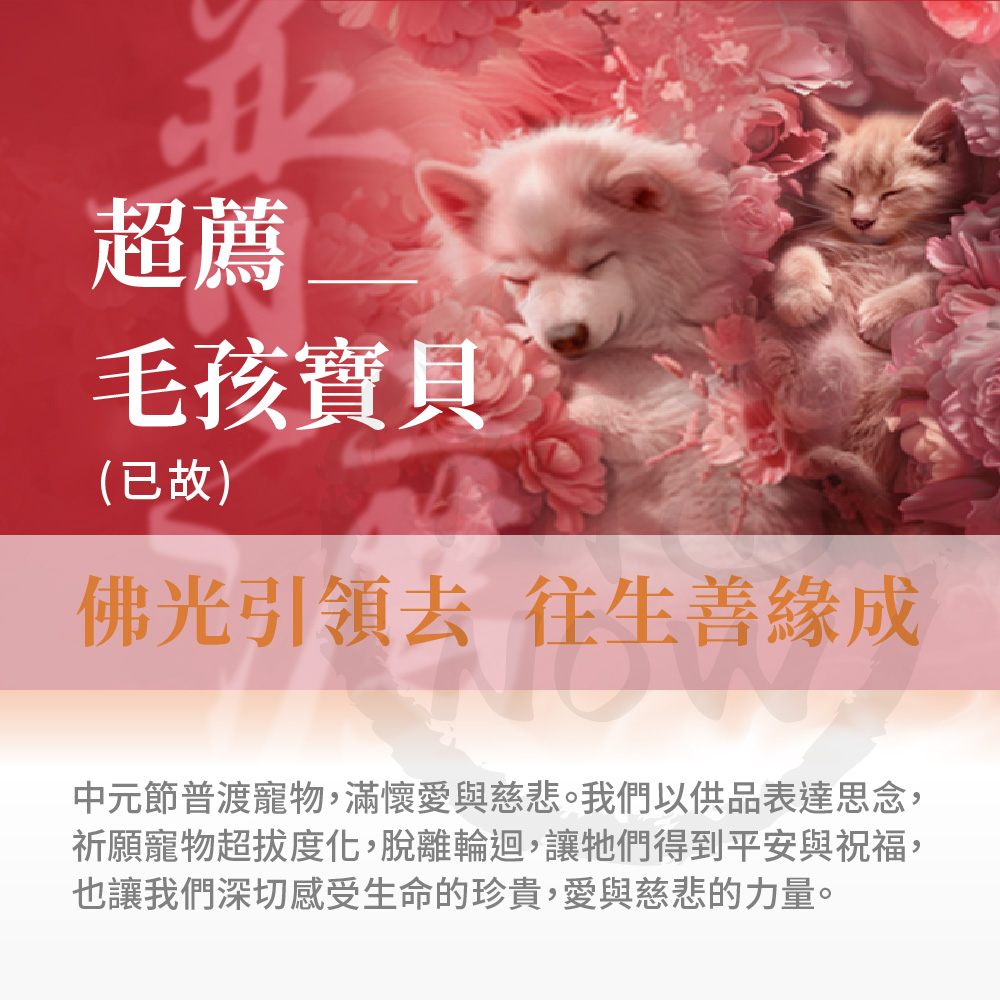 開運NOW-【毛孩寶貝】中元普渡祈福超拔法會