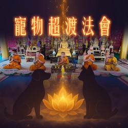 大辣天后宮-寵物超渡法會
